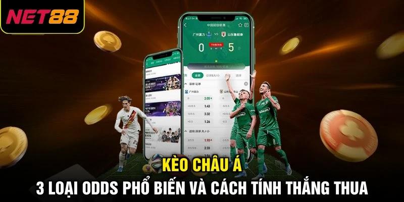 Kèo Châu Á - 3 Loại Odds Phổ Biến Và Cách Tính Thắng Thua 1 Kèo Châu Á - 3 Loại Odds Phổ Biến Và Cách Tính Thắng Thua